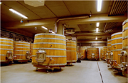 Wooden fermentation vats